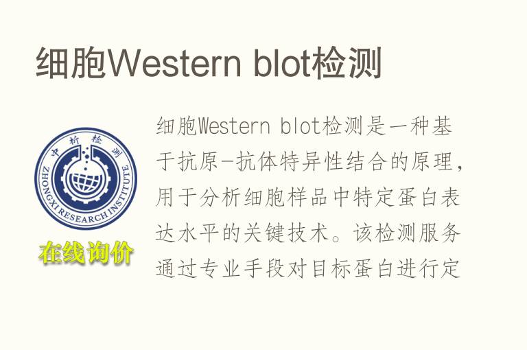 细胞W<font color='red'>es</font>tern blot检测